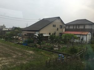 IMG_4234